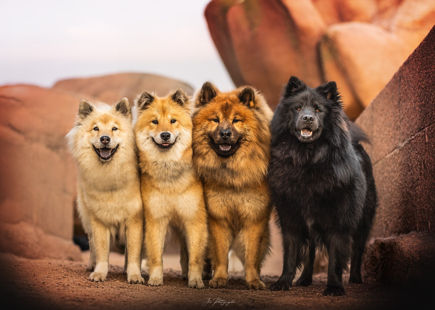 Des étoiles d'Hirwazh